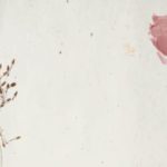 Travma Sonrası Tepkiler